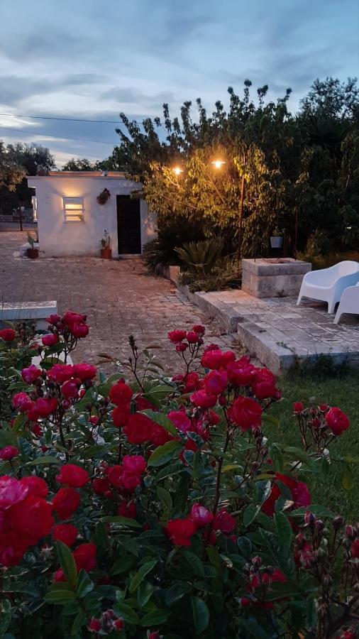 B&B Masseria Sant'Angelo Antonelli Exteriér fotografie