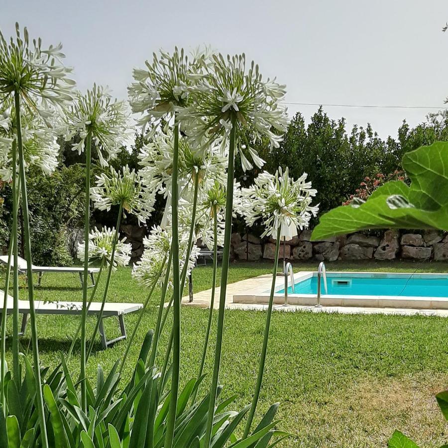 B&B Masseria Sant'Angelo Antonelli Exteriér fotografie